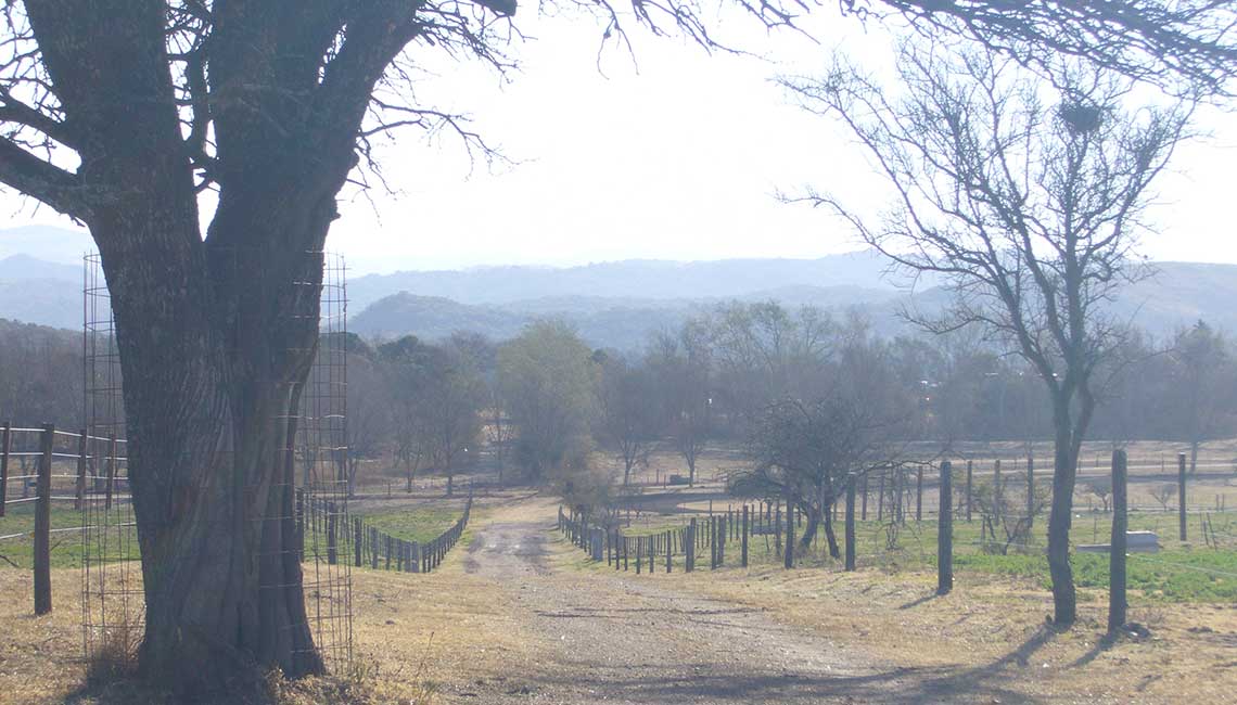 Landscape of the polo ranch
