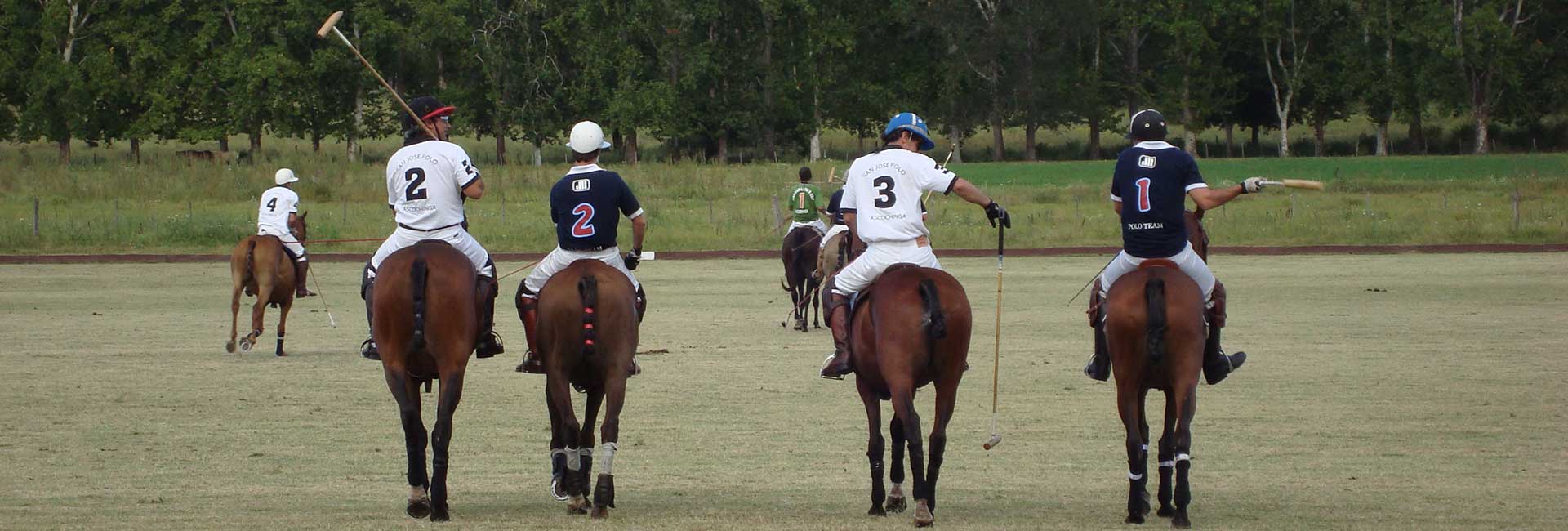 Learn Spanish and play Polo