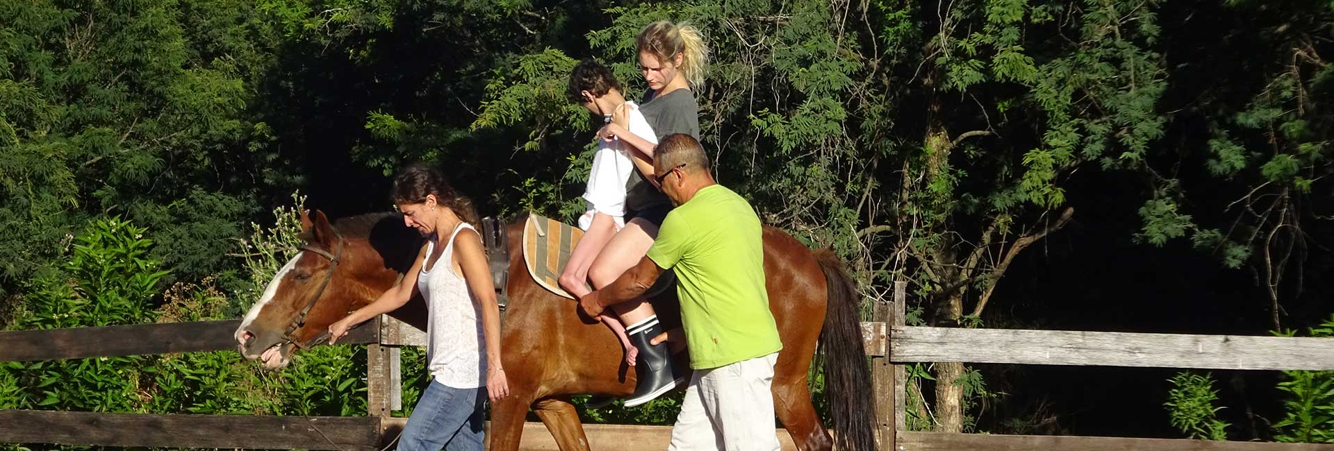 Volunteer Project Equine Therapy