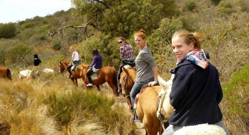Horse riding is fun and adventure