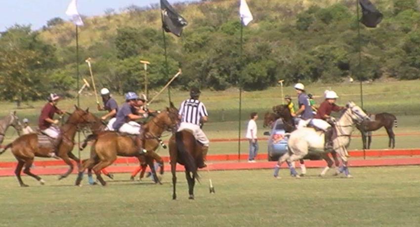 Polo in Argentinien