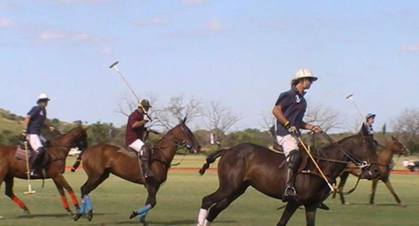 Polo Match in Argentina